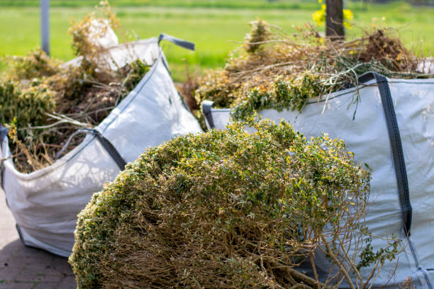 Best Mattress Removal Service  in Shelby, MT